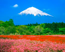 19880508-fujinomiya45218m