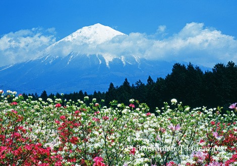 19890430-kitatyama4518001~WM