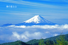 19900503-yakeyamasawa4524m