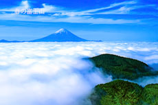 19910526-mizugamoririndo4522m
