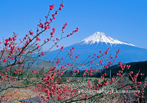 19920223-iwamotoyama4591~WM