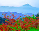 19950528-obinayama451353m