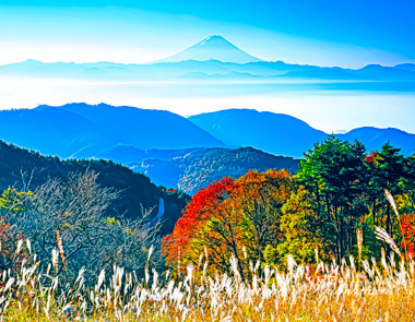 19981108-obinayama45157