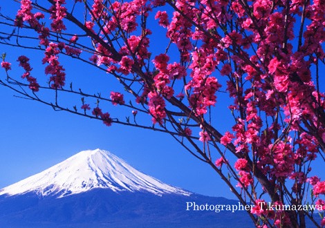 20060503-kawaguchiko4569136~WM