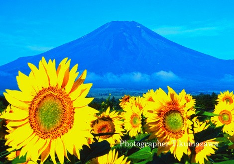 20080814-hananomiyako456913~WM