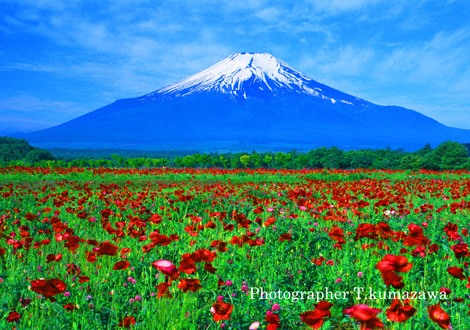 20090607-hananomiyako691353~WM