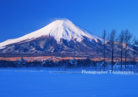 20110213-harimomi6913502~WM