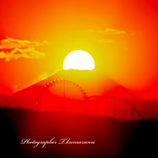 20130203-chofu_gohonmatukoen0071m