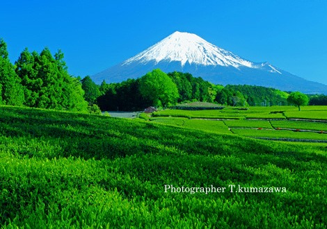 20130428-fujishi_obuchi06sa~WM