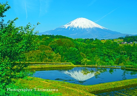 20130429-takenoshita2321~WM