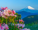 20140511-hakone_taikanyama1006m