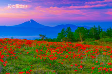 20140615-amariyama1435dik3m