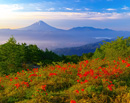 20140615-amariyama1463m