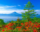 20140615-amariyama1526m