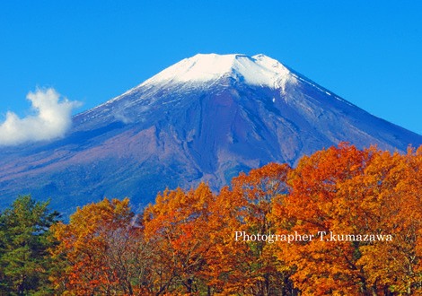 20141103-harimomi2071k3~WM