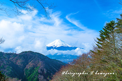 20150412-misakatoge041