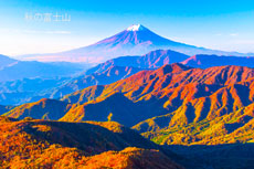 20151025-gangaharasuriyama057m