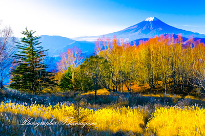 20151025-harasuriyama088k3
