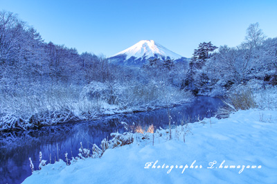 20160207-oshinonura016