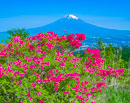 20160522-nagaotoge4555m
