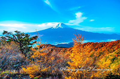 20161113-mitsutoge052