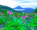20171001-kushigatayama09911m