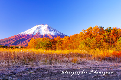 20171112-nashigahara052