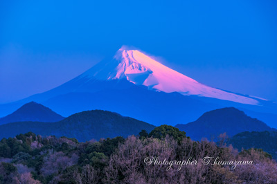 20180325-katuragiyama009