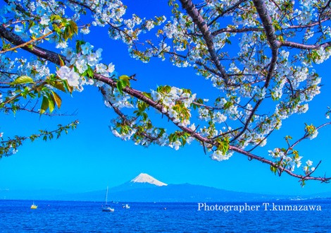 20180325-nishiura0801k~WM