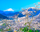 20180401-otsuki_iwadonosan026m
