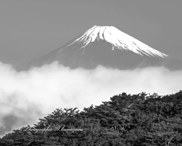 20180422-izu_kurodake041