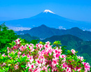 20180429-katsuragiyama131m