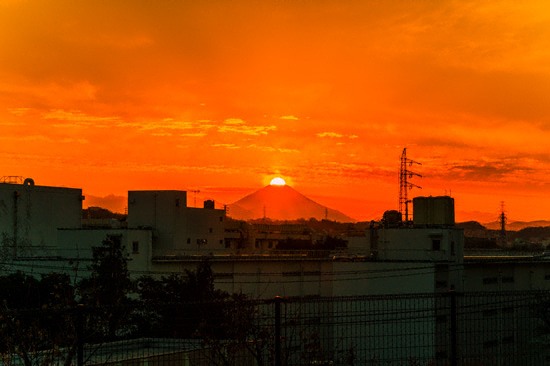 20190119-nishifu9261~WM