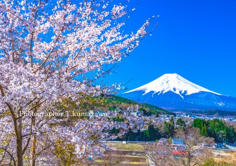 20190413-asumi0416~WM