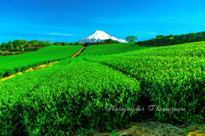20190428-imamiya0637