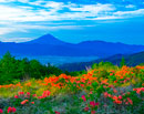 20190617-amariyama0781m