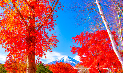 20191117-fujiyoshida0473