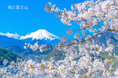 20200406-iwadonosan2692m