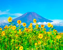 20200814-oshinomura2756m