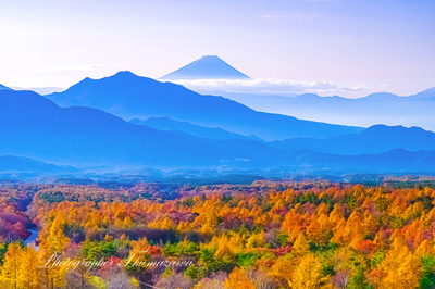 20201101-utsukushimori2934