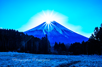 20210314-asagiri1182