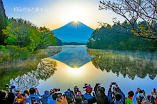 20210424-tanukiko_daiya1529m