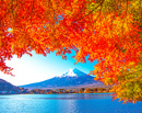 20211113-kawaguchiko1976m