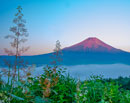 20220723-takazasuyama7238m