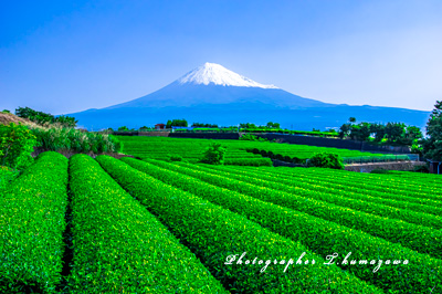 20230517-iwamotoyama4297