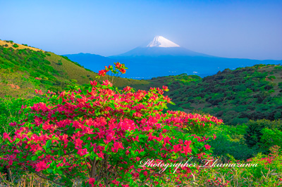 20230517-izu_kurodake0509