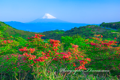 20230517-izu_kurodake4237