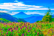 20230926-kushigatayama4950m
