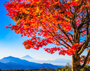 20231024-hokutoshi_seisenryo5243m