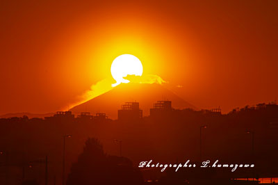 20231113-fucyu_oshitate5672m